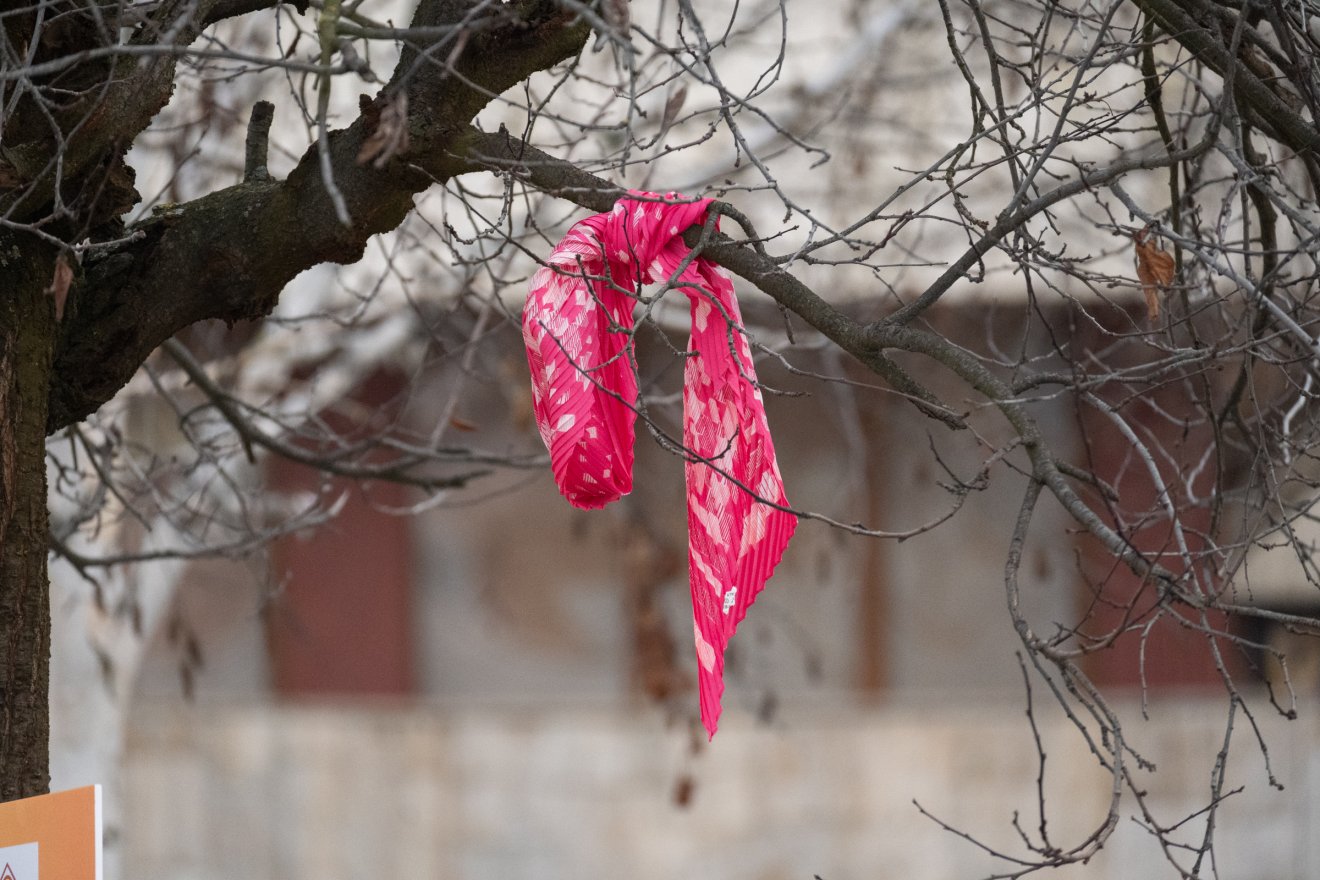 •  Fotó: Borbély Fanni
