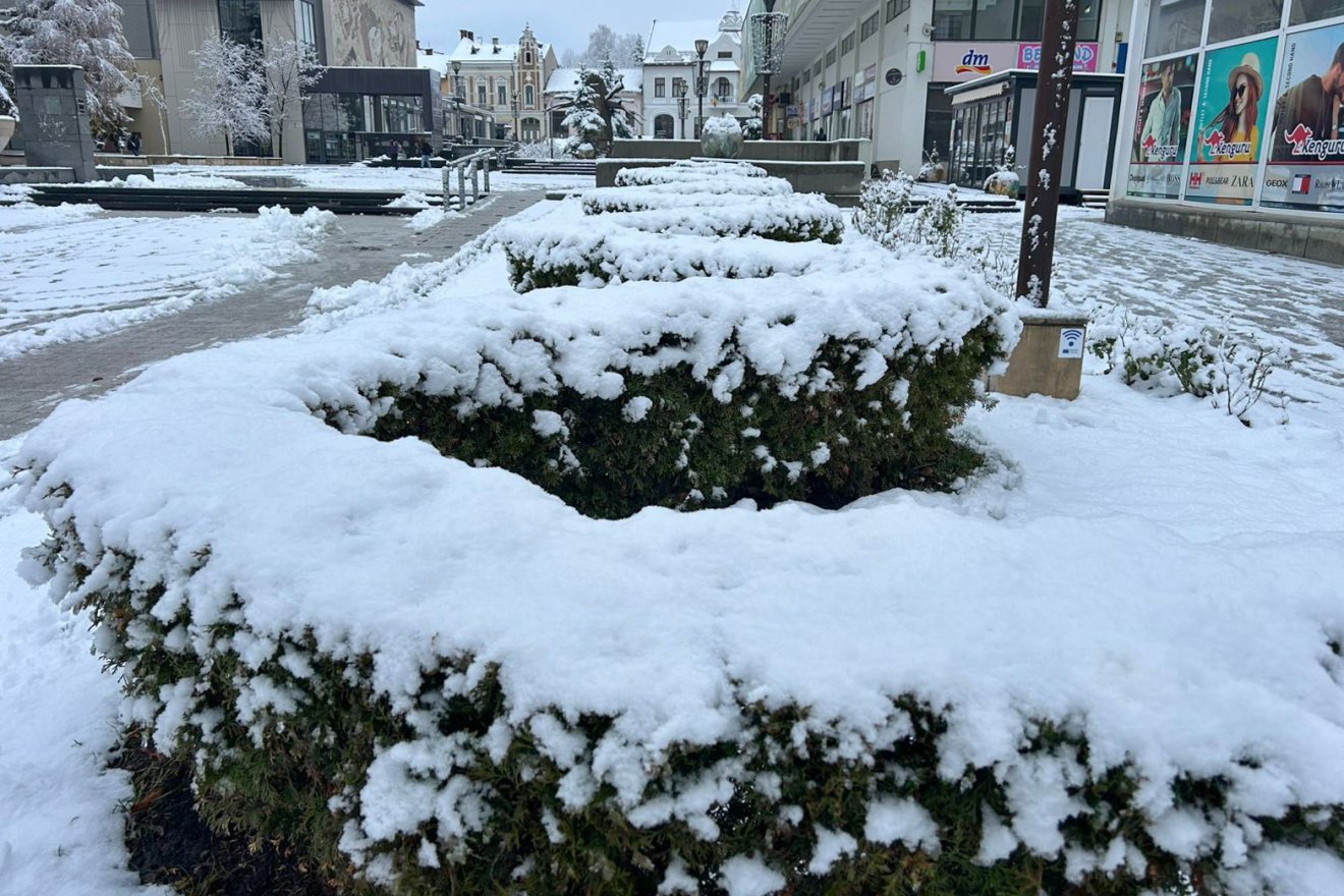 •  Fotó: Borbély Fanni