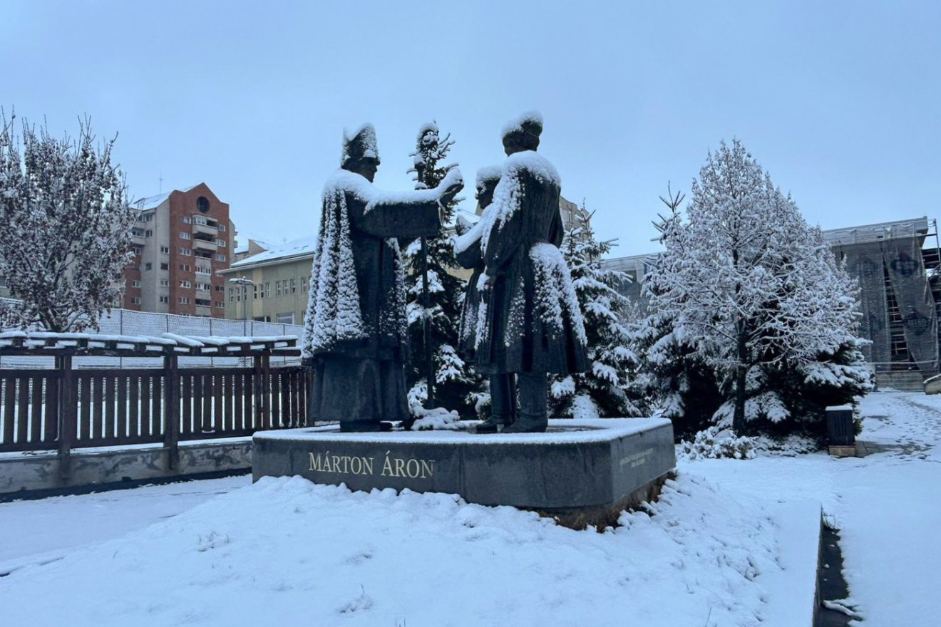 •  Fotó: Borbély Fanni