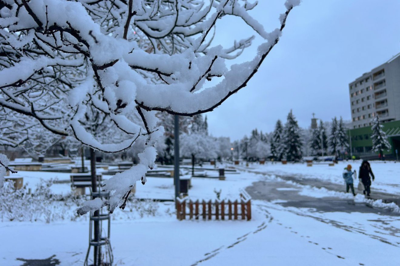 •  Fotó: Borbély Fanni