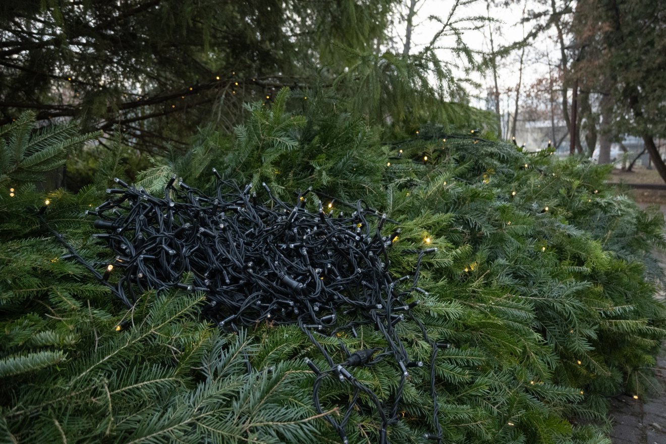 •  Fotó: Borbély Fanni