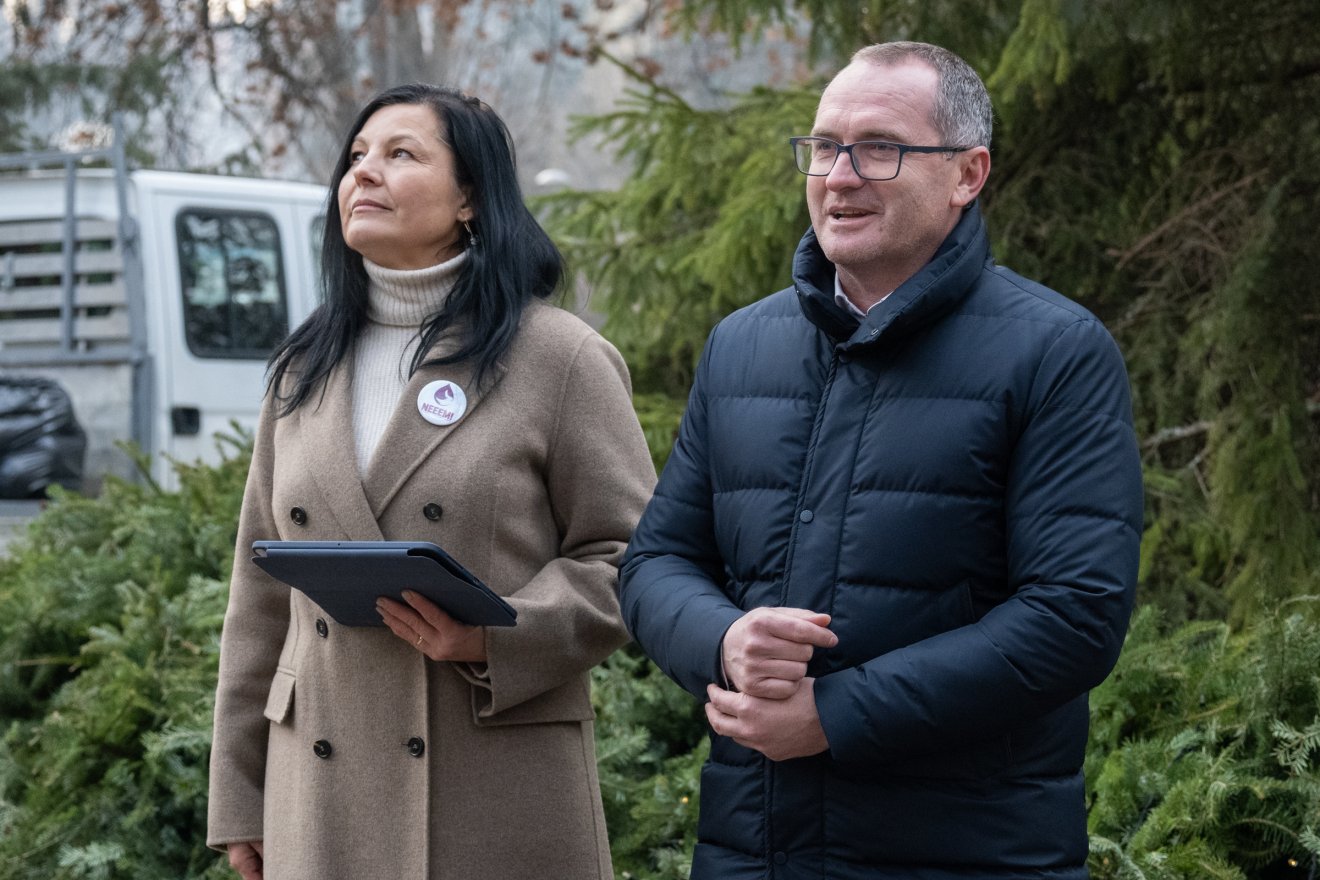 •  Fotó: Borbély Fanni