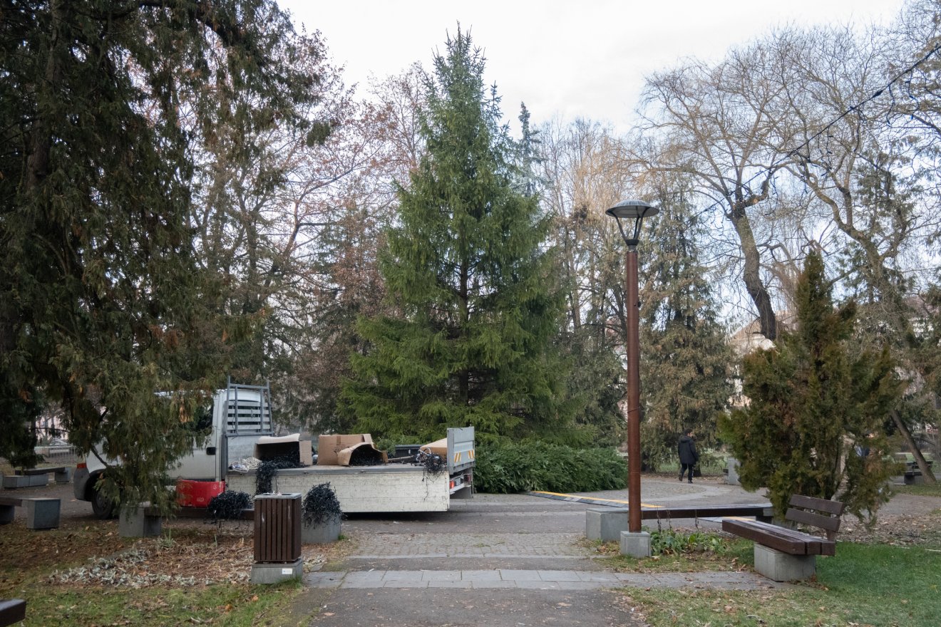 •  Fotó: Borbély Fanni