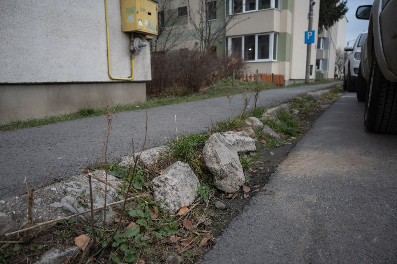 •  Fotó: Borbély Fanni