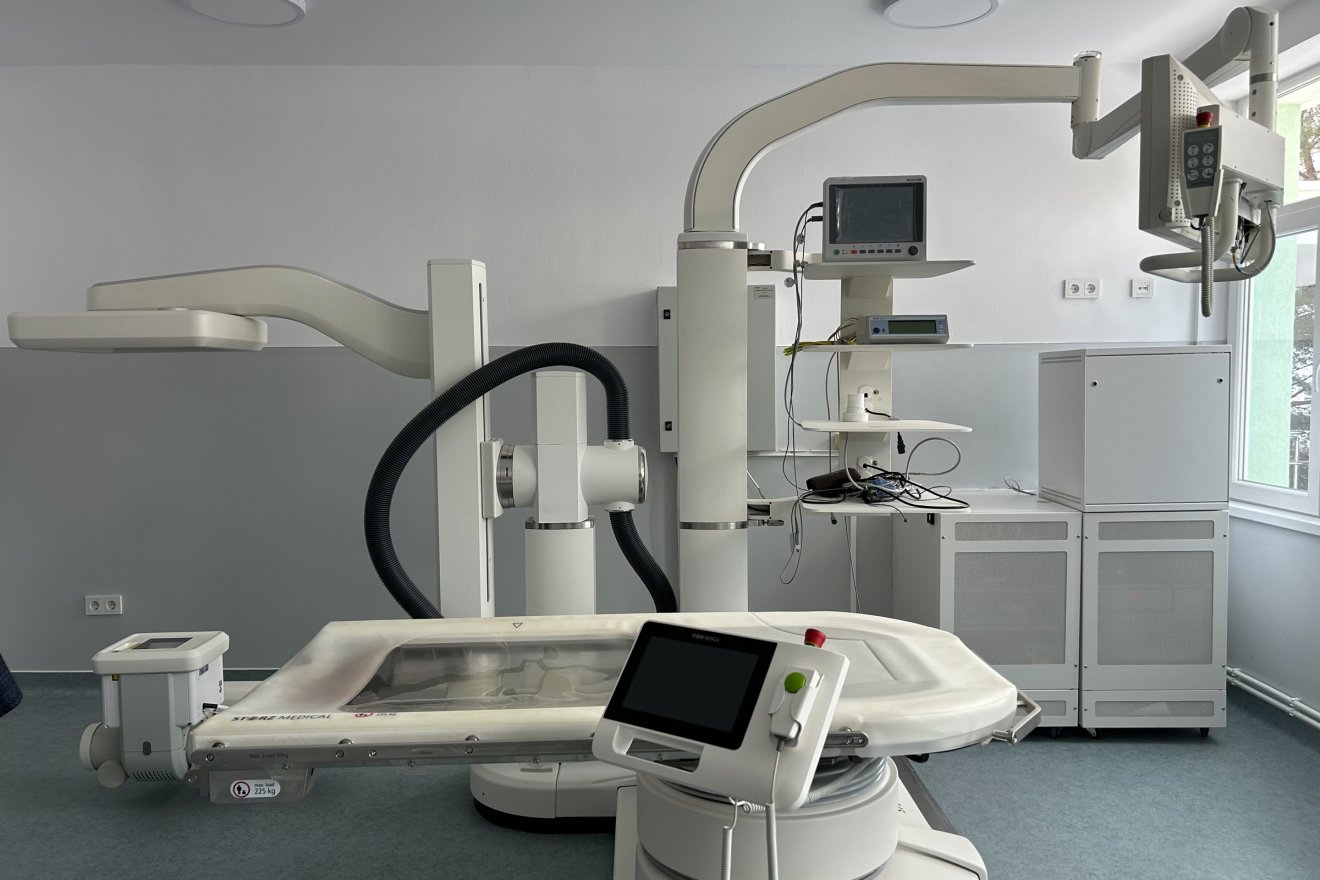 •  Fotó: Borbély Fanni