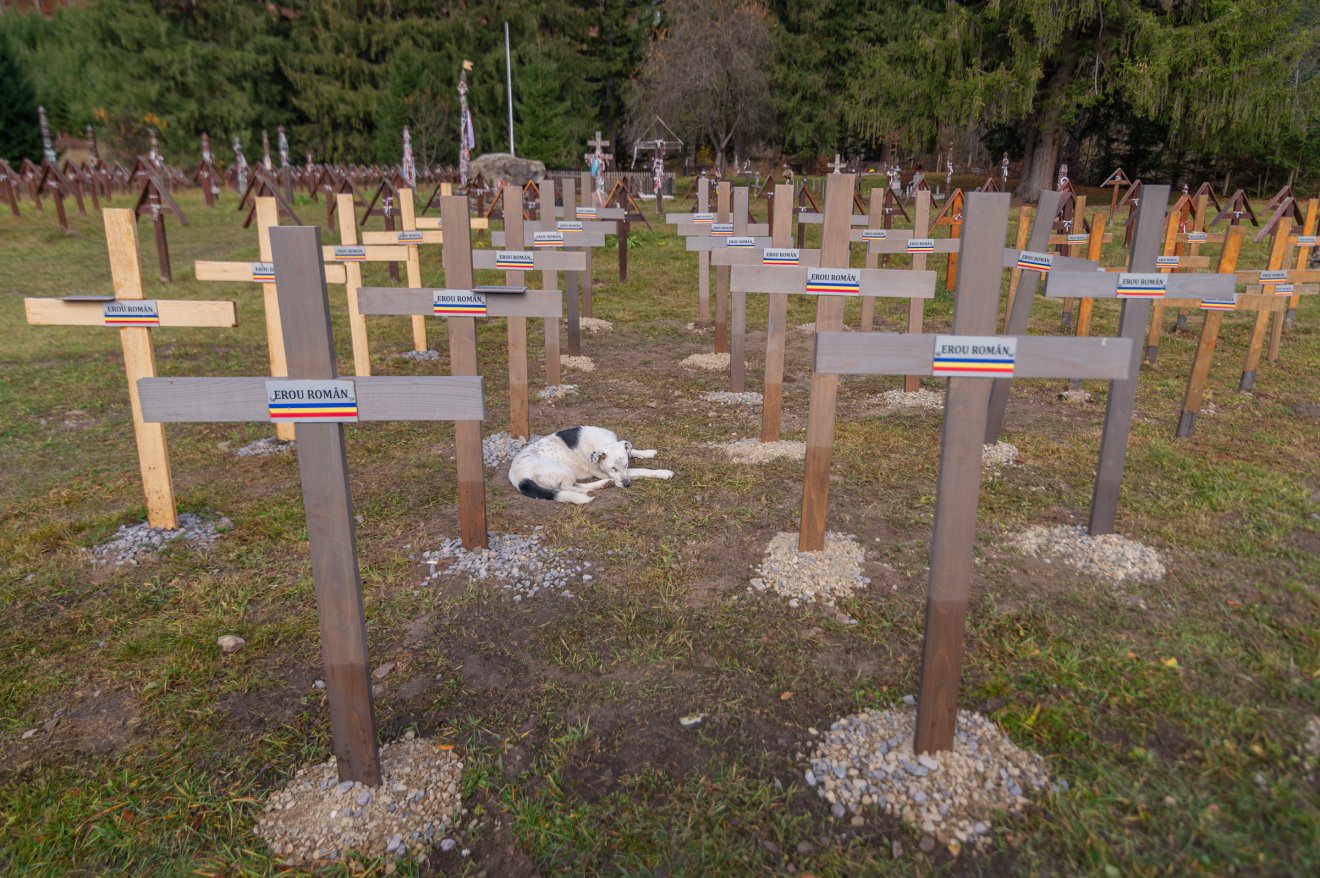 •  Fotó: Pinti Attila