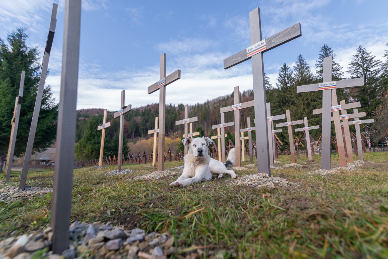 •  Fotó: Pinti Attila