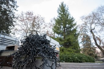 Már állnak a város karácsonyfái, ezekkel az adventi programokkal készülnek Csíkszeredában