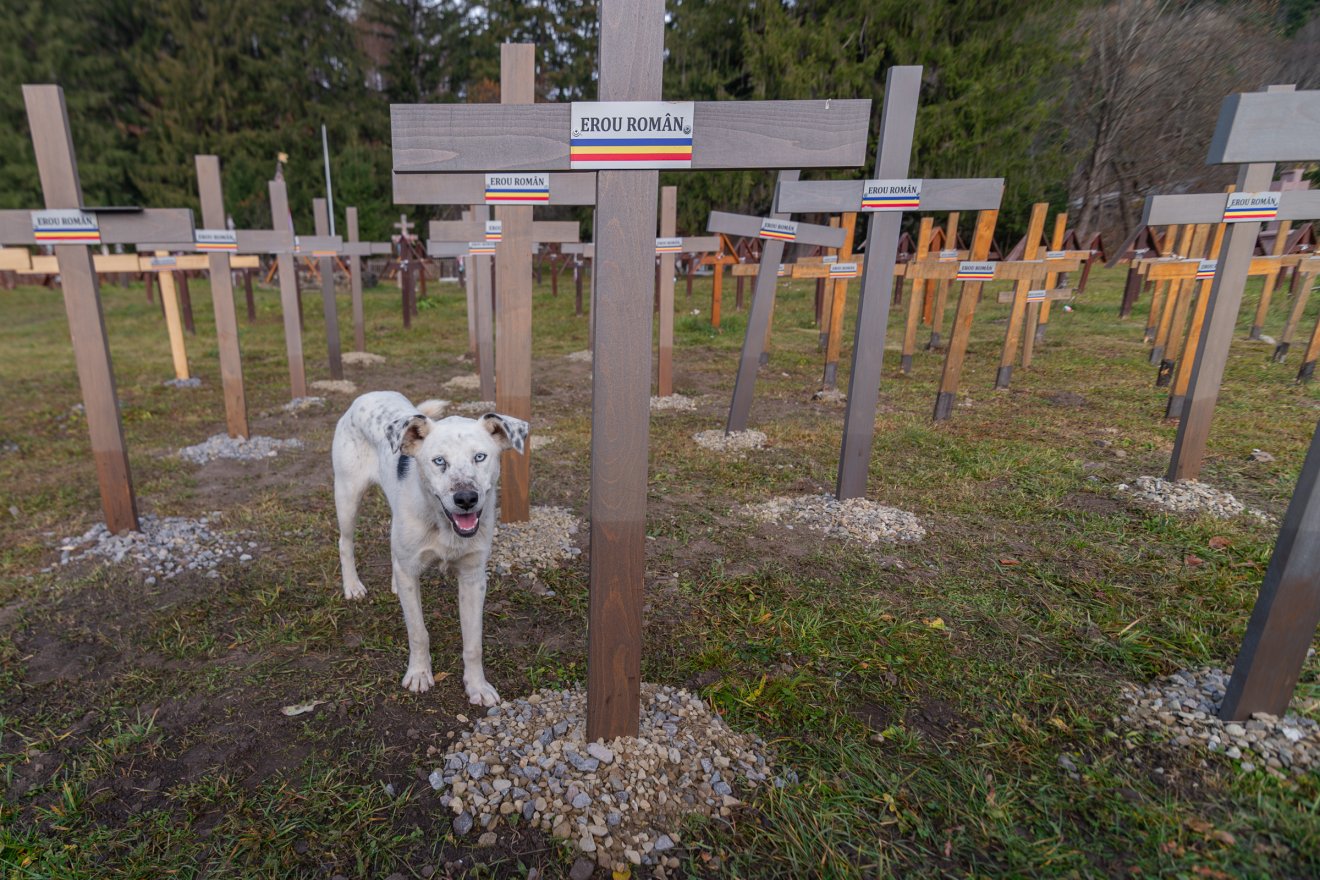 Hosszabb távra terveznek a román nacionalisták Úzvölgyében? Időtállóbb fakeresztekre cserélték az elkorhadtakat