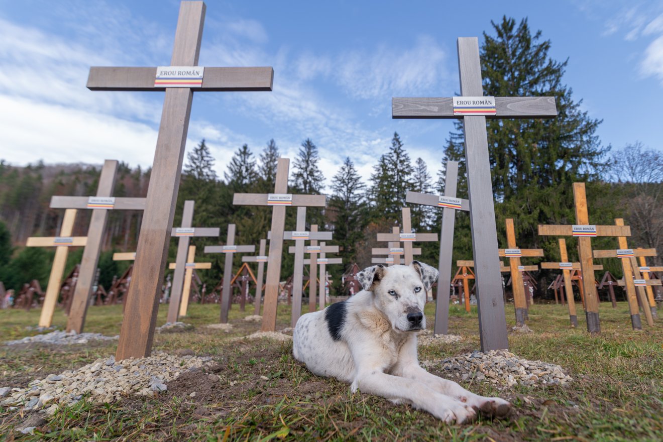 Hosszabb távra terveznek a román nacionalisták Úzvölgyében? Időtállóbb fakeresztekre cserélték az elkorhadtakat