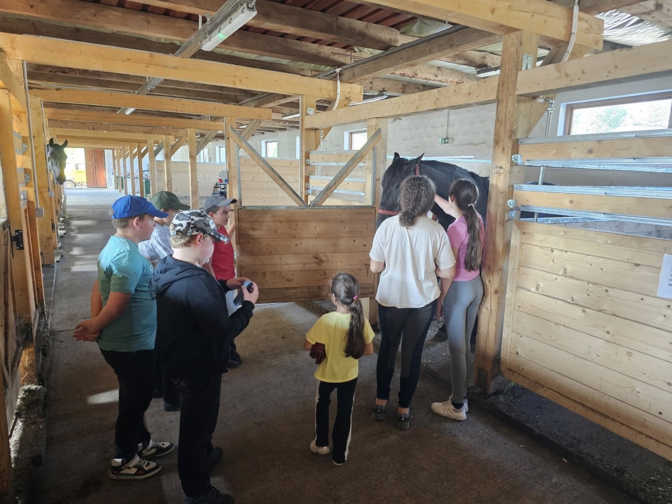 •  Fotó: Sekler Horse Driving SK