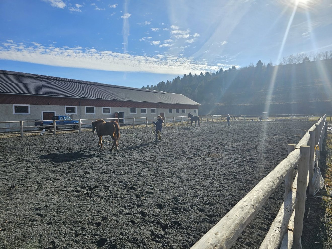 •  Fotó: Sekler Horse Driving SK