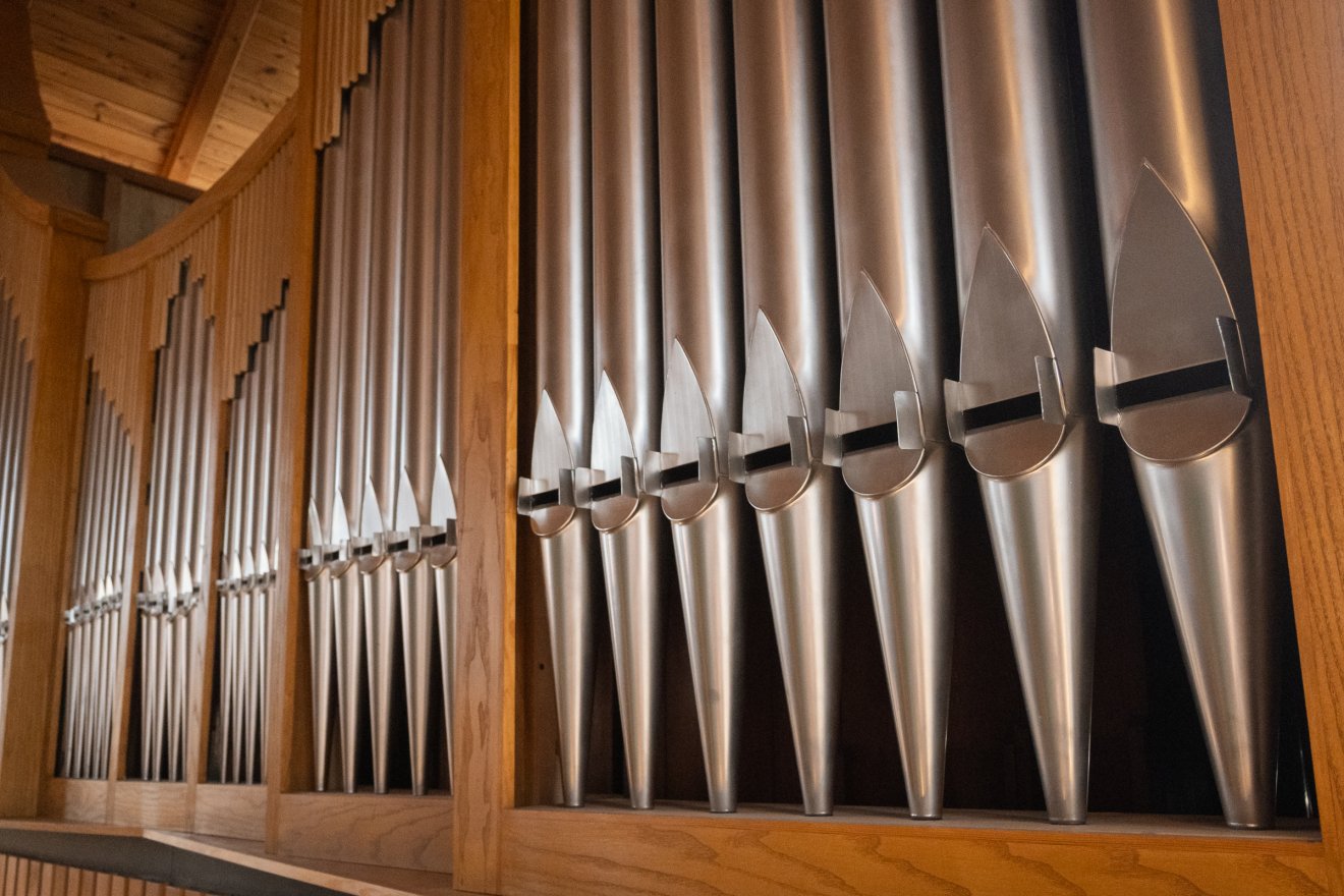 •  Fotó: Borbély Fanni