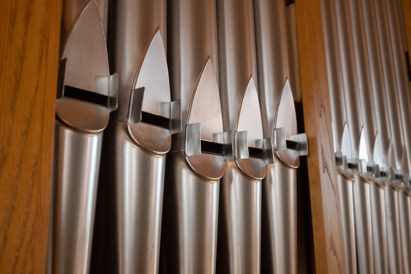 •  Fotó: Borbély Fanni