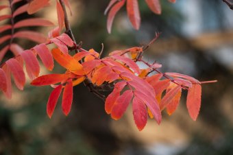 Kellemes őszi időjárással búcsúzik október, lehűléssel indul a november