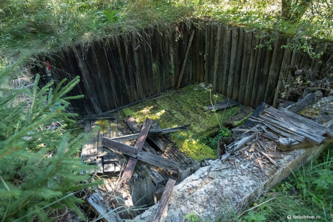 •  Fotó: Borbély Fanni