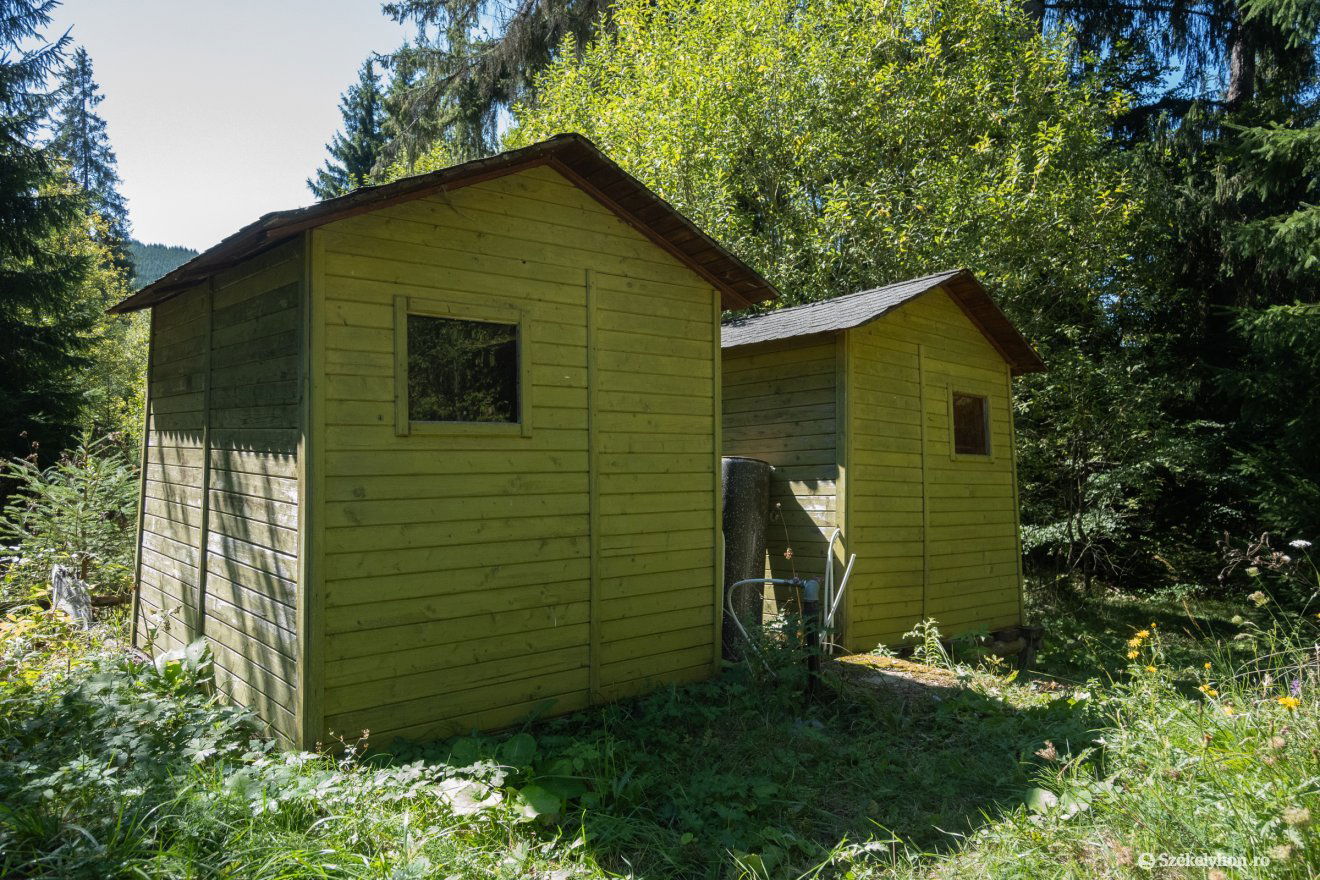 •  Fotó: Borbély Fanni