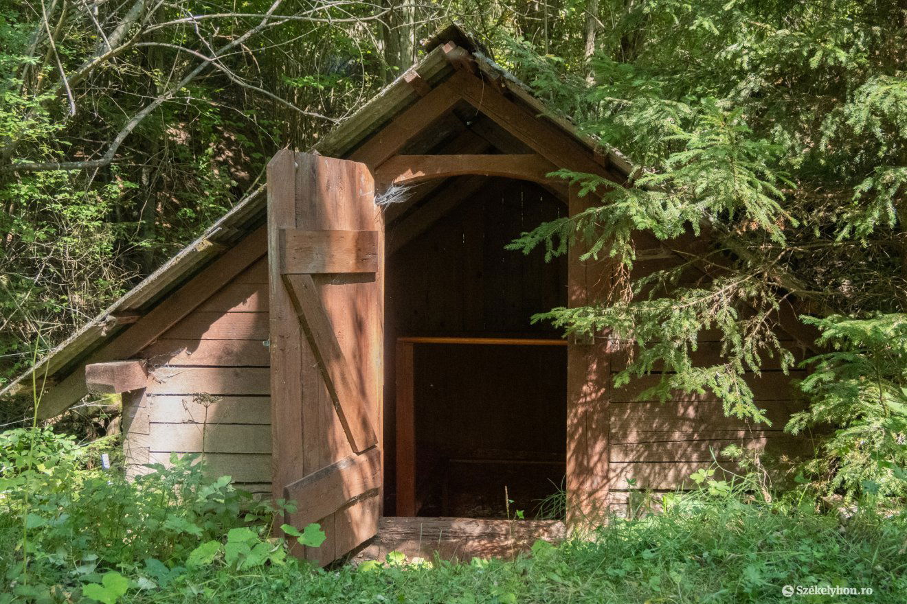 •  Fotó: Borbély Fanni