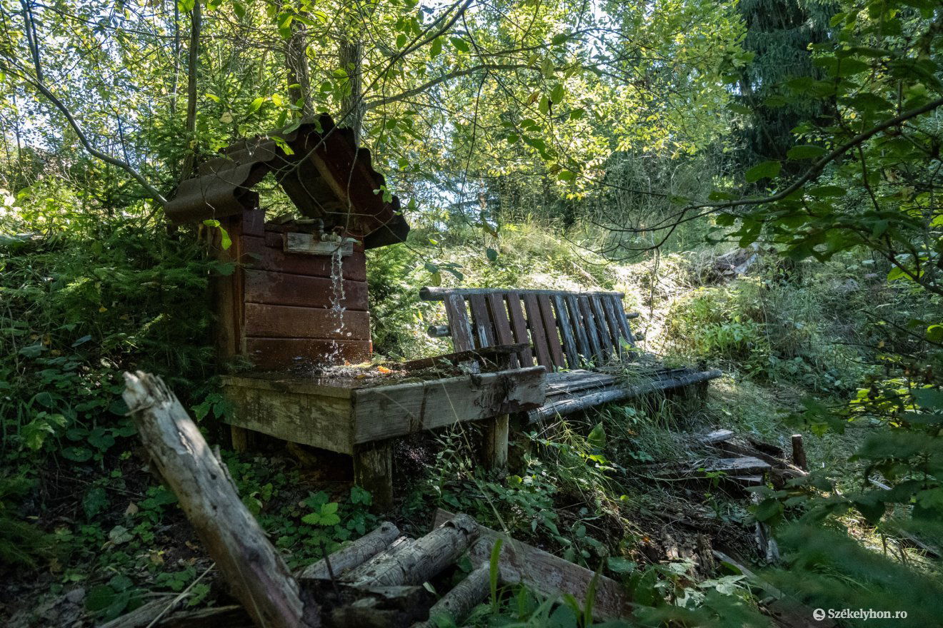 Ismét a közösség rendelkezésére szeretnék bocsátani a fürdőt •  Fotó: Borbély Fanni