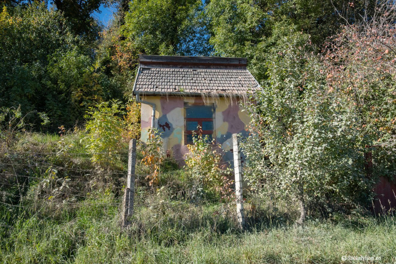 •  Fotó: Borbély Fanni