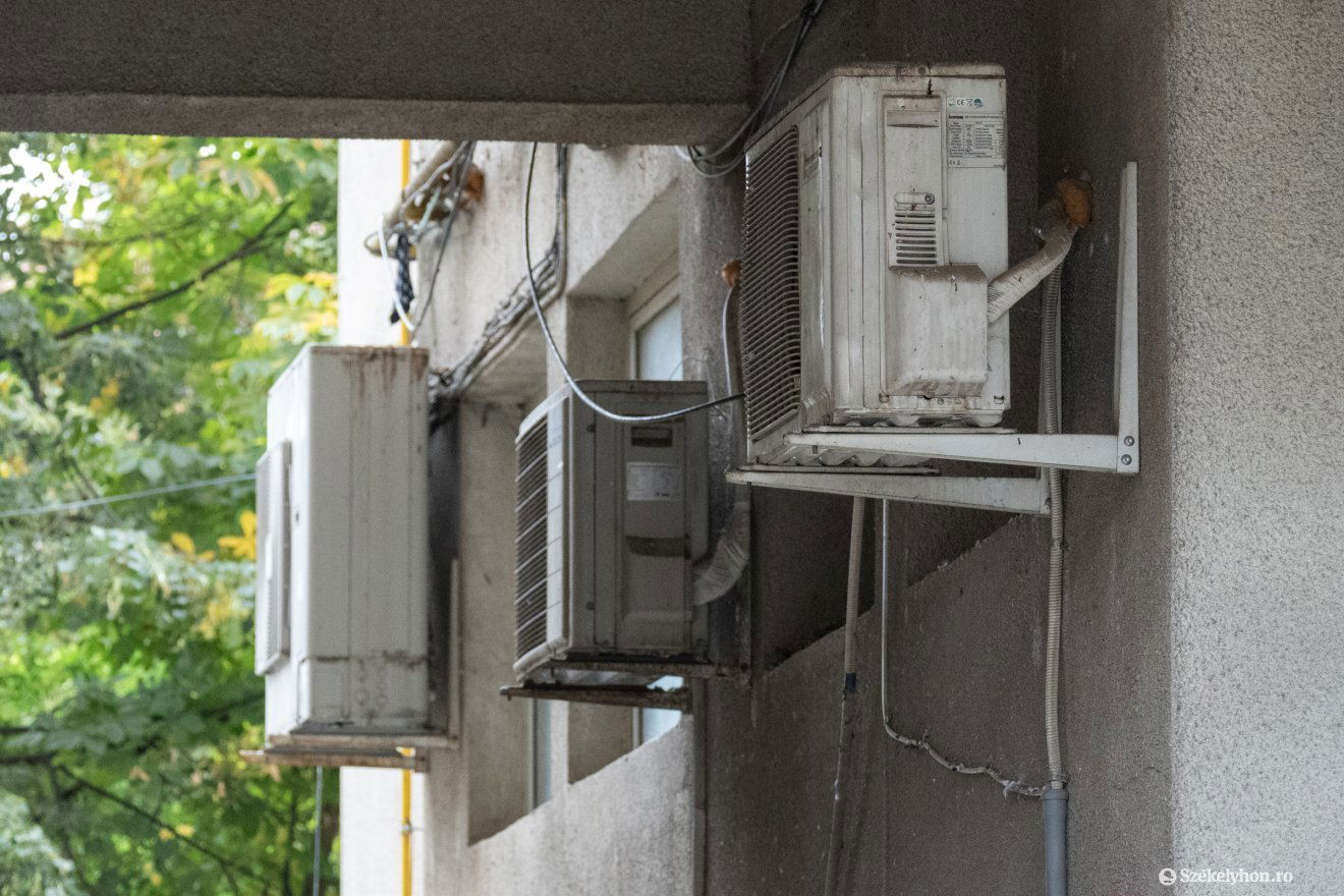 •  Fotó: Borbély Fanni