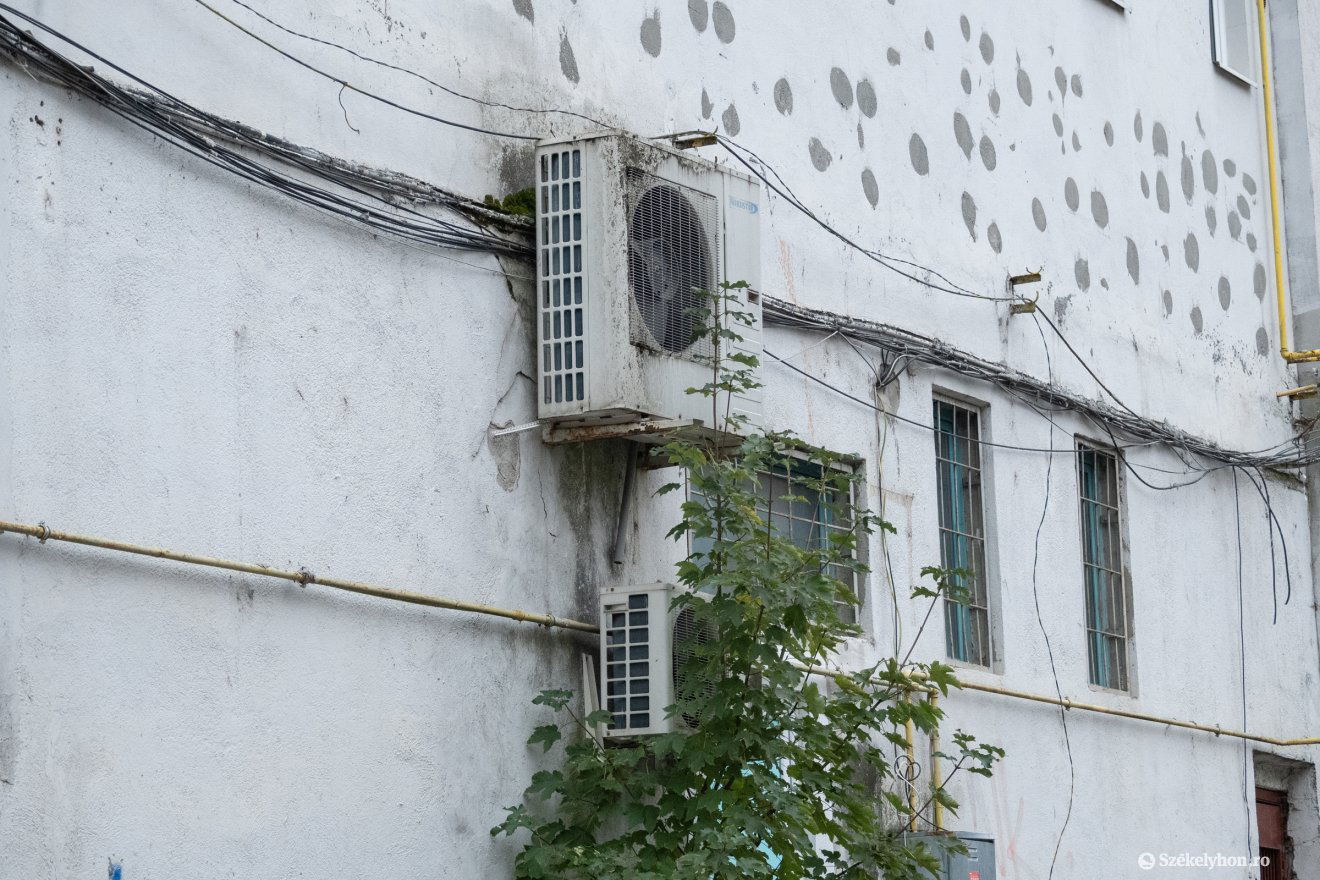 •  Fotó: Borbély Fanni