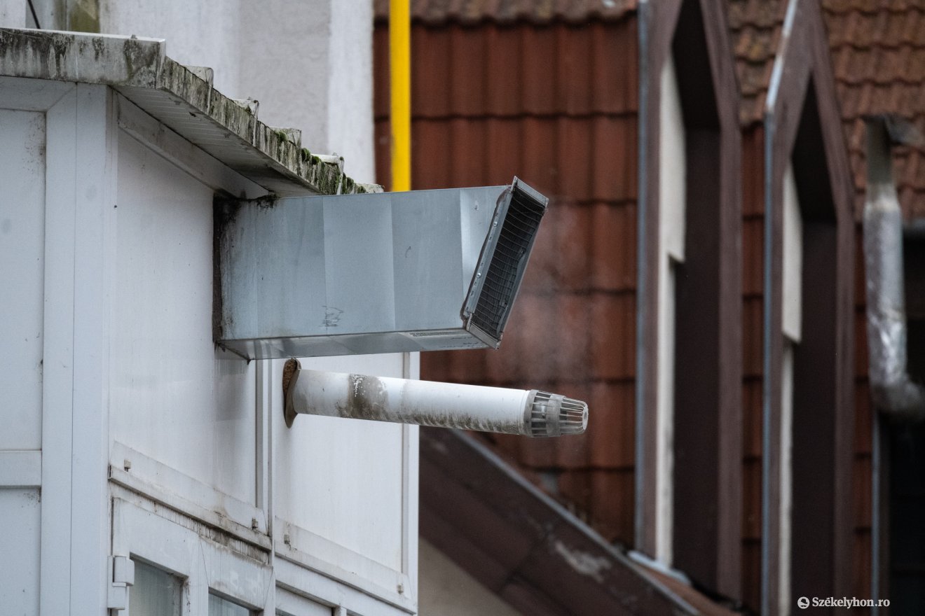 •  Fotó: Borbély Fanni