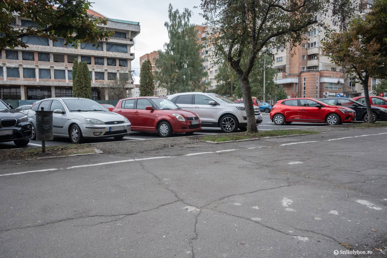 •  Fotó: Borbély Fanni