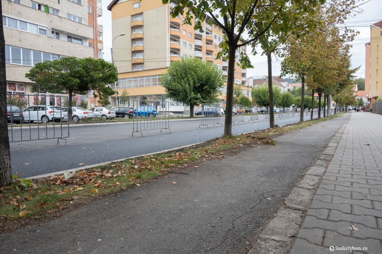 •  Fotó: Borbély Fanni