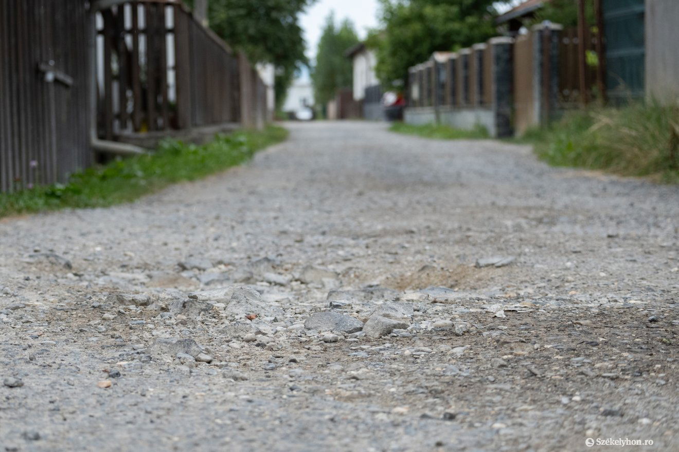 •  Fotó: Borbély Fanni