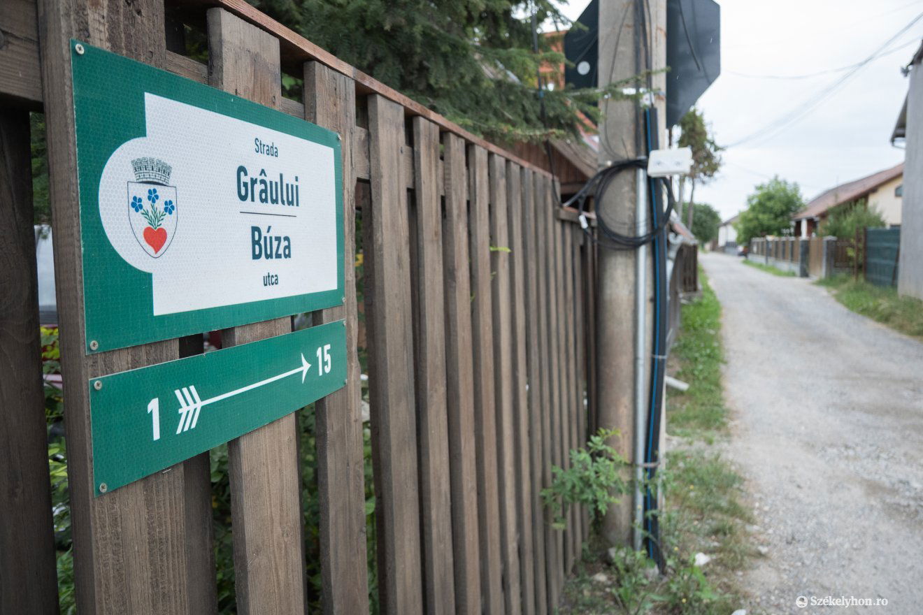 •  Fotó: Borbély Fanni