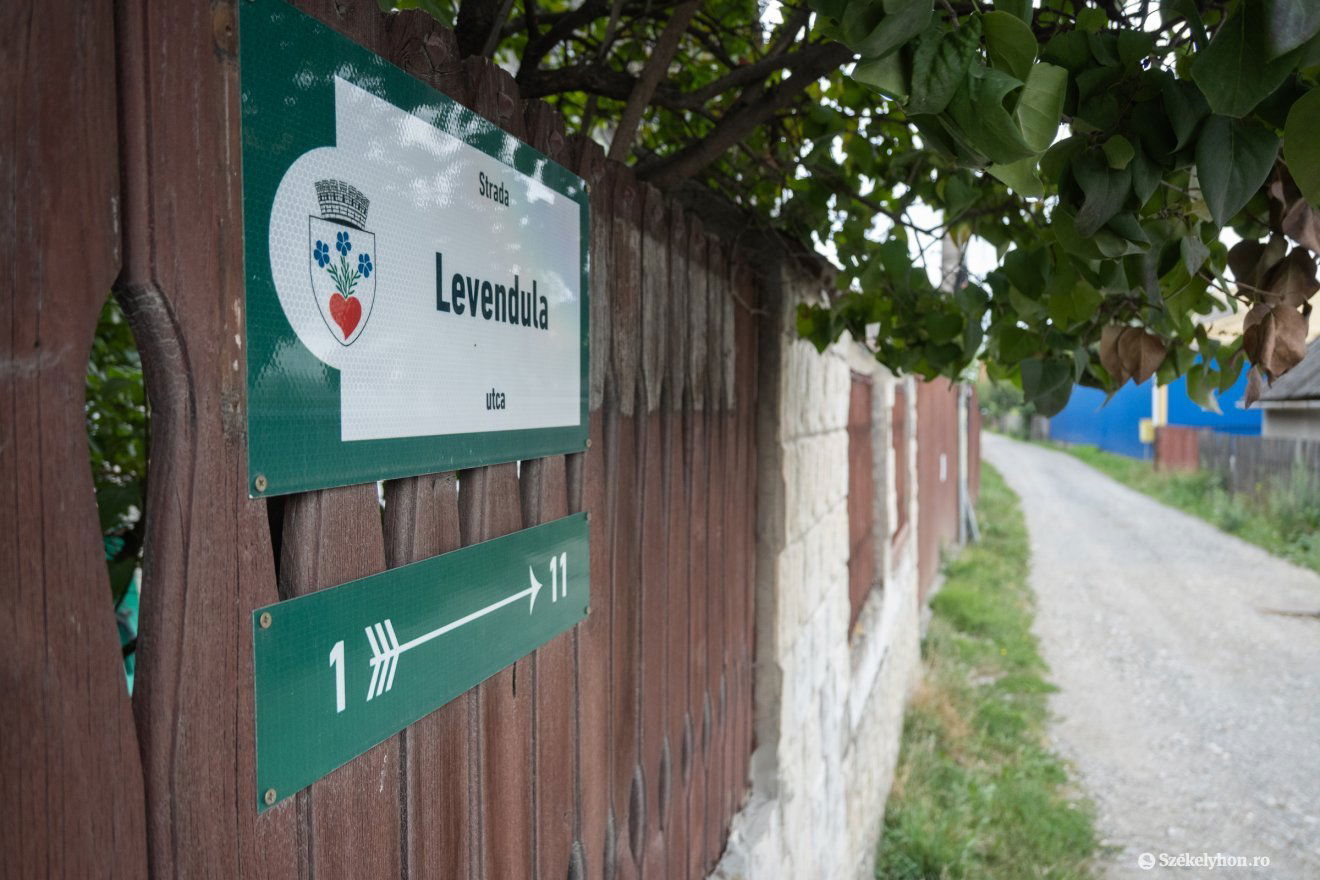 •  Fotó: Borbély Fanni