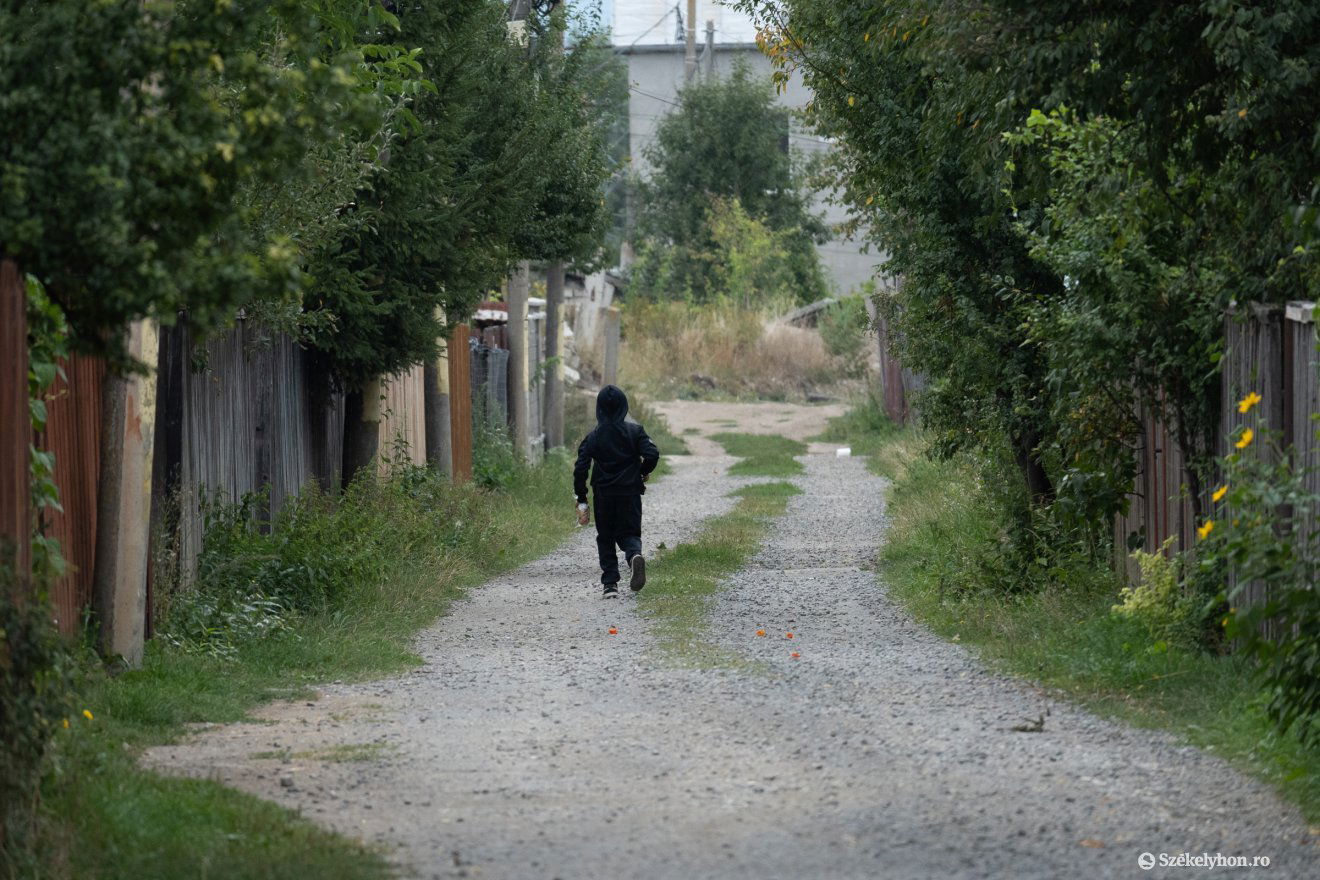 •  Fotó: Borbély Fanni