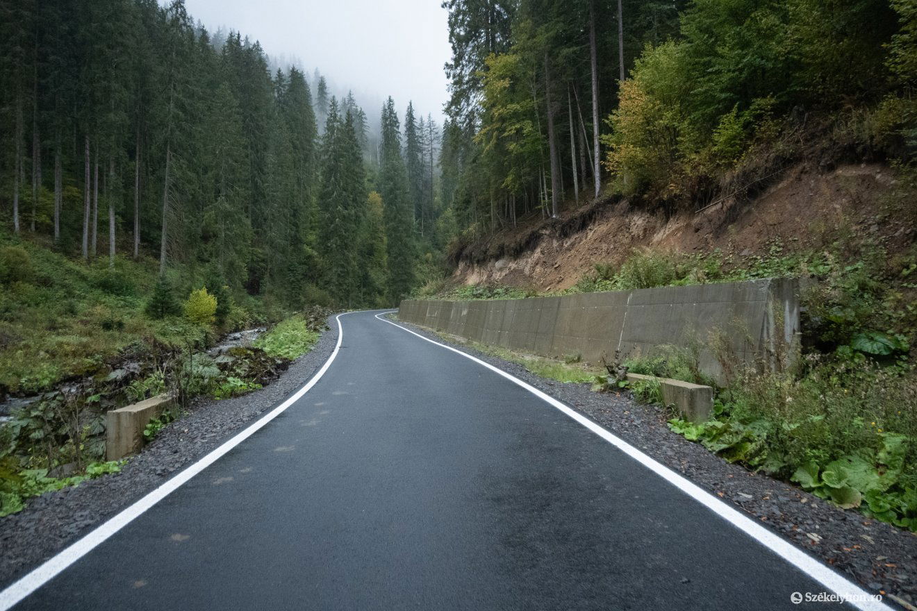 •  Fotó: Borbély Fanni