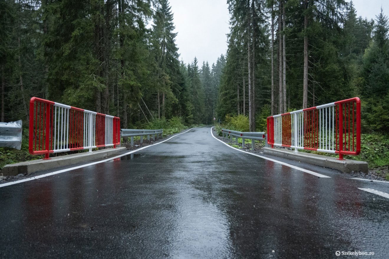 •  Fotó: Borbély Fanni