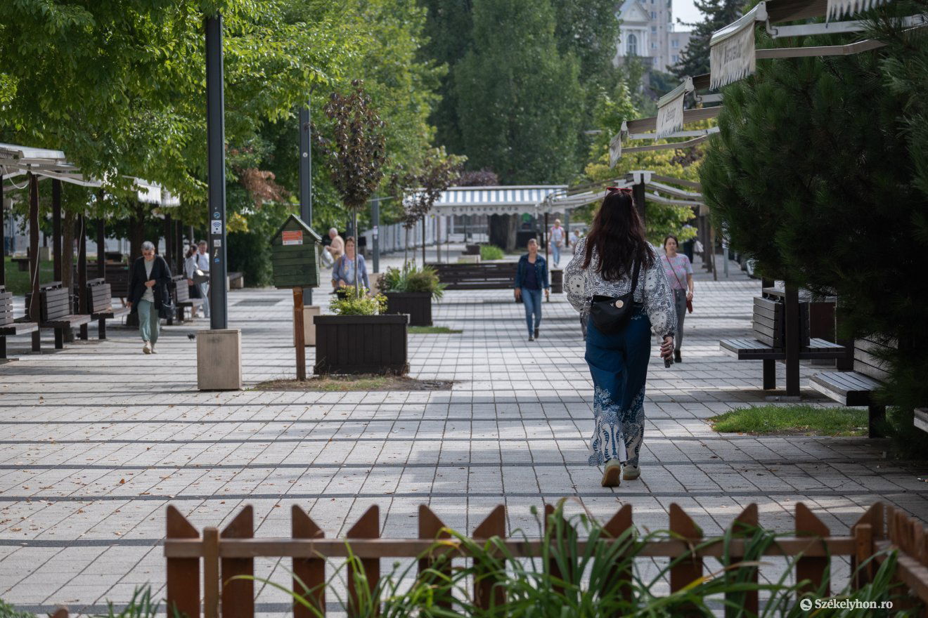 munkanélküliségi ráta