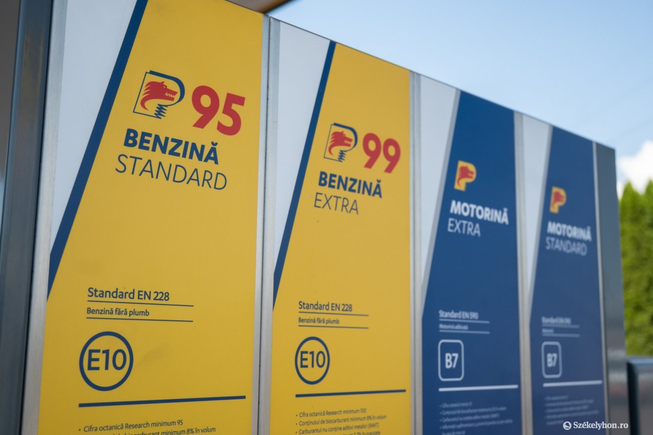 •  Fotó: Borbély Fanni