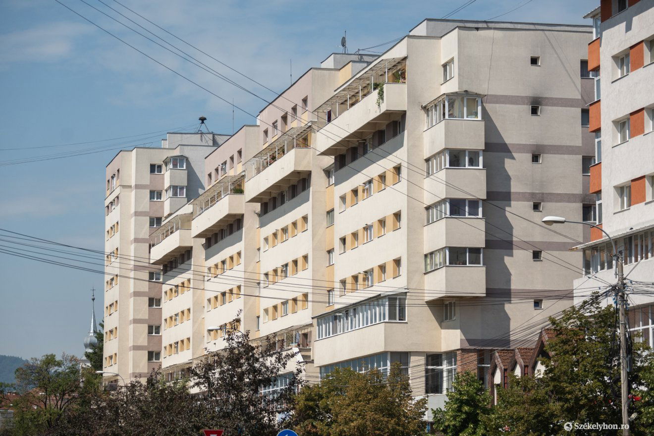 •  Fotó: Borbély Fanni