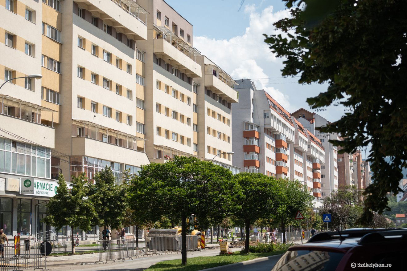 •  Fotó: Borbély Fanni