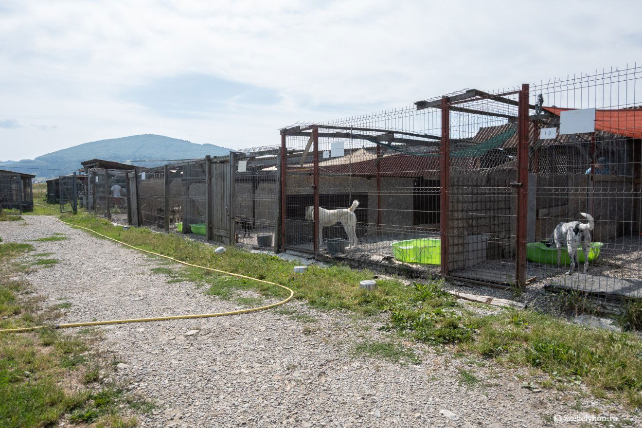 •  Fotó: Borbély Fanni