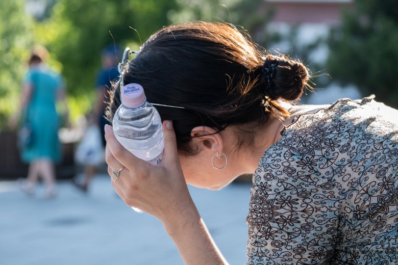 Eltűnő telek, mediterrán élővilág, magasabbra „vándorló” erdők: ilyen éghajlatot jósolnak dédunokáink számára a klímamodellek