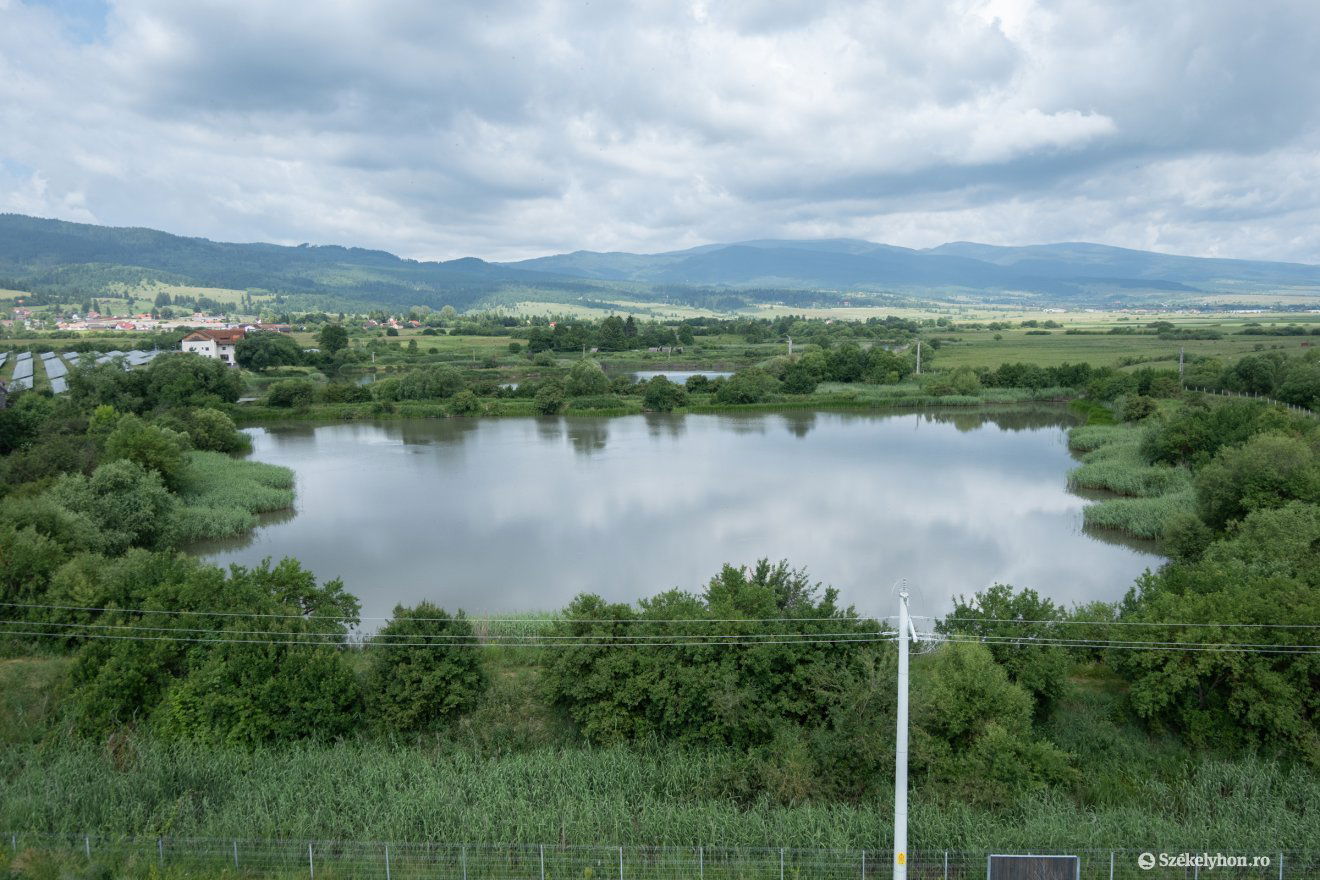 •  Fotó: Borbély Fanni