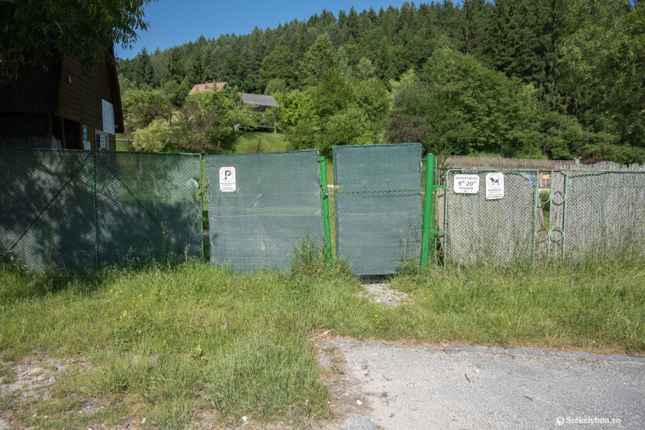 •  Fotó: Borbély Fanni