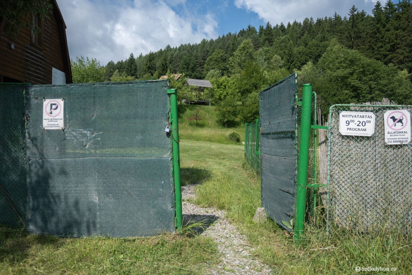 •  Fotó: Borbély Fanni