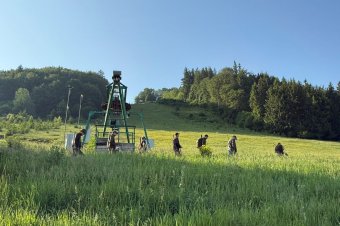 Több a medve a csíksomlyói búcsú helyszínének környékén, hajtási akció lesz a zarándokok biztonsága érdekében