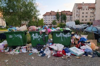 Civilizációs fokmérő: így néz ki egy csíkszeredai lakónegyed okoskukáinak környéke vasárnap este
