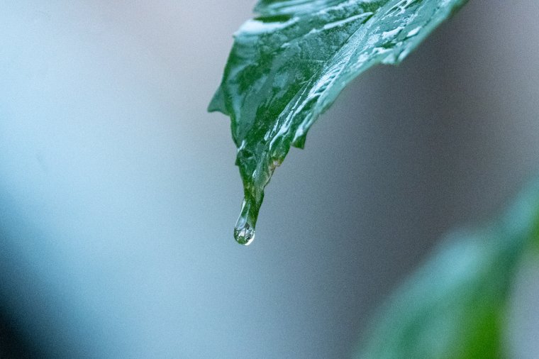 Időjárás: a hétvégére enyhül a hőség, szombattól zivatarok várhatók