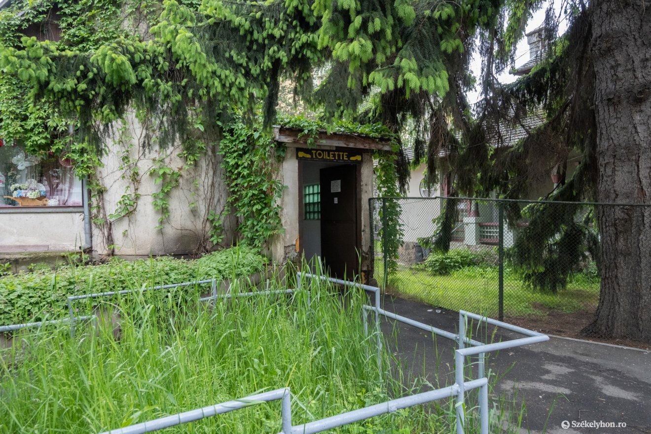 •  Fotó: Borbély Fanni