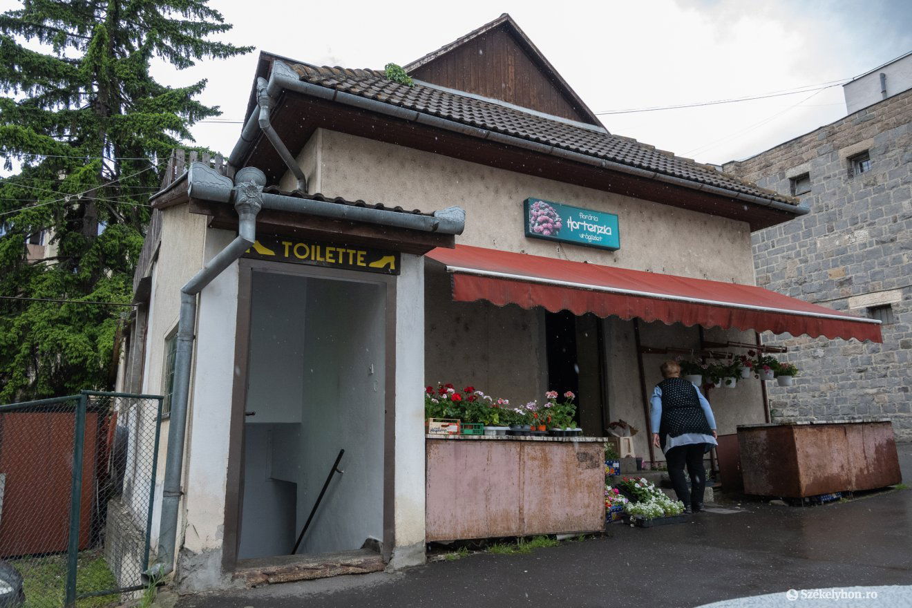 •  Fotó: Borbély Fanni