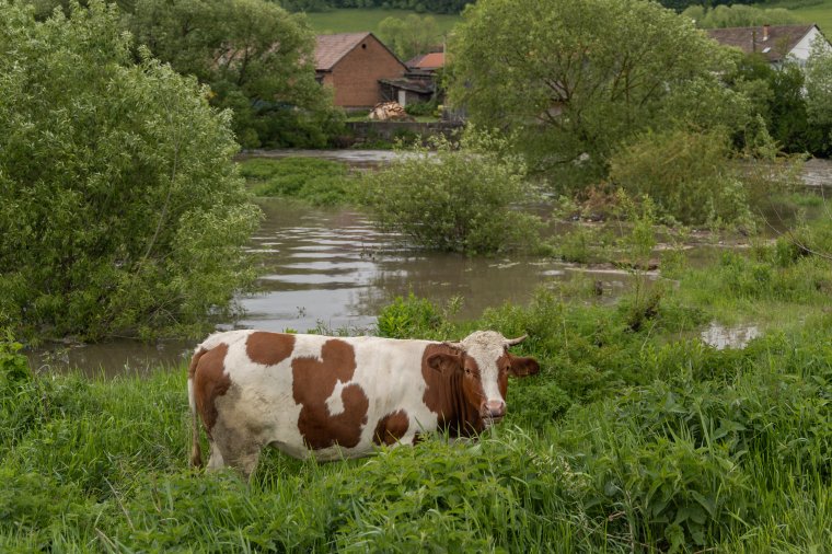 Első- és másodfokú árvízvédelmi készültség lesz érvényben Hargita megyében is hétfő reggelig
